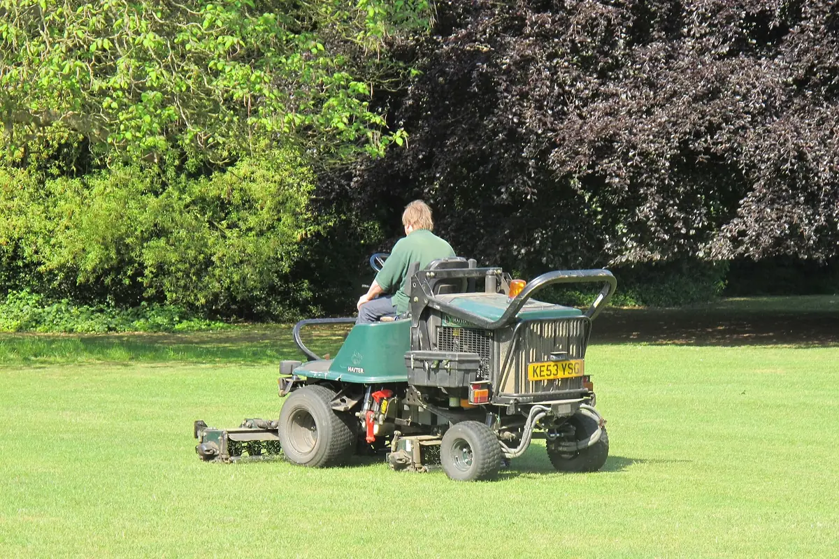 Gardeners - Find a local gardener for lawns, hedges, tidy-ups and regular maintenance