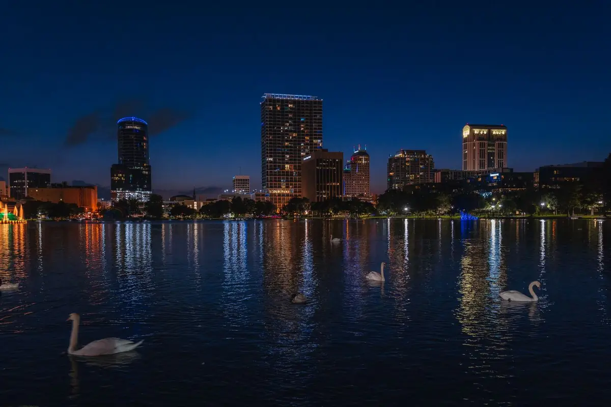 Orlando's skyline reflected in a lake at night with swans
