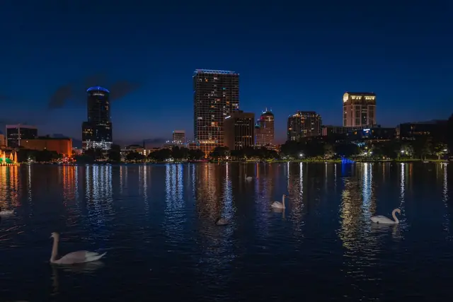 Orlando's skyline reflected in a lake at night with swans